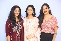Vadevadu Veedevadu Mana Premaku Aadevadu Movie Press Meet